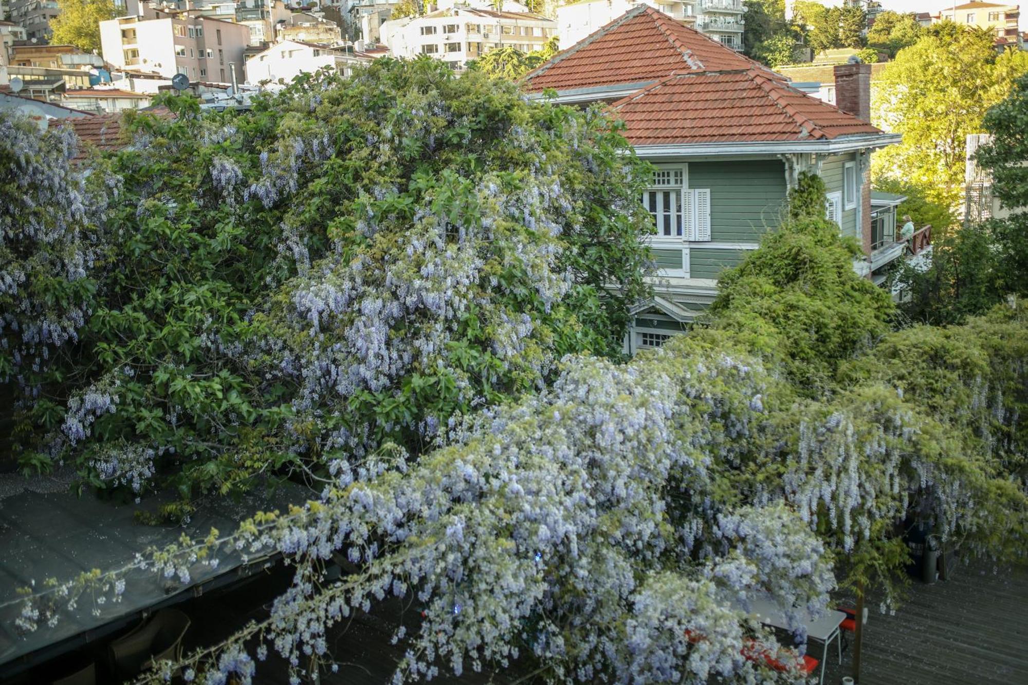 Otel Loop Bosphorus 4*